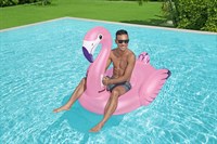 Uimalelu, Bestway uima-allas (flamingo)